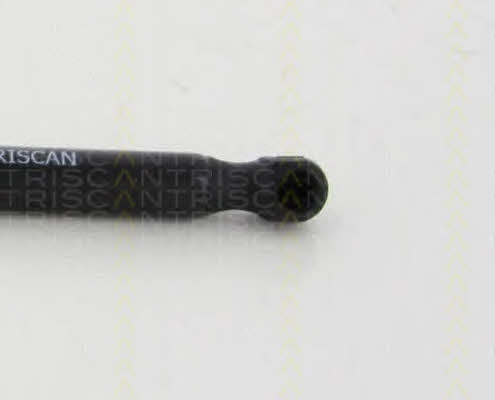 Triscan 8710 292028 Gas Spring, boot-/cargo area 8710292028: Buy near me in Poland at 2407.PL - Good price!