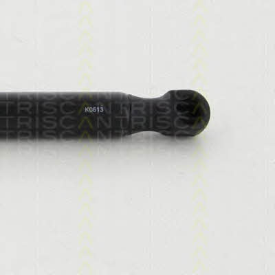 Triscan 8710 292030 Gas Spring, boot-/cargo area 8710292030: Buy near me in Poland at 2407.PL - Good price!