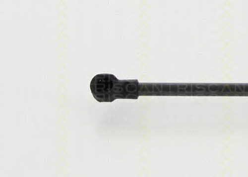 Triscan 8710 292101 Gas Spring, boot-/cargo area 8710292101: Buy near me in Poland at 2407.PL - Good price!