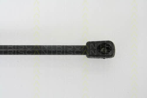 Triscan 8710 29263 Gas Spring, boot-/cargo area 871029263: Buy near me in Poland at 2407.PL - Good price!