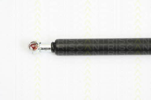 Triscan 8710 29277 Gas Spring, boot-/cargo area 871029277: Buy near me in Poland at 2407.PL - Good price!