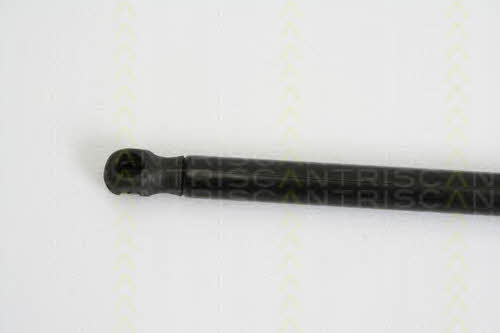 Gas Spring, boot-&#x2F;cargo area Triscan 8710 29279