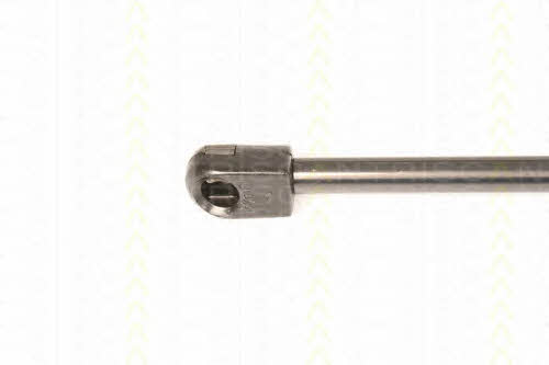 Triscan 8710 29295 Gas Spring, boot-/cargo area 871029295: Buy near me in Poland at 2407.PL - Good price!