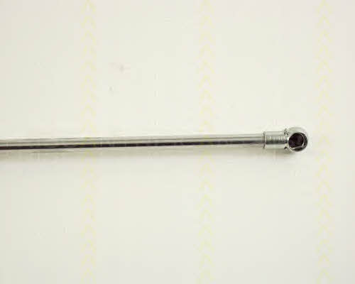 Triscan 8710 38102 Gas hood spring 871038102: Buy near me in Poland at 2407.PL - Good price!