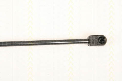 Triscan 8710 38104 Gas hood spring 871038104: Buy near me in Poland at 2407.PL - Good price!