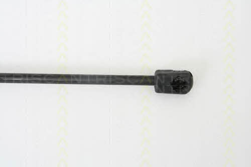 Triscan 8710 38218 Gas Spring, boot-/cargo area 871038218: Buy near me in Poland at 2407.PL - Good price!