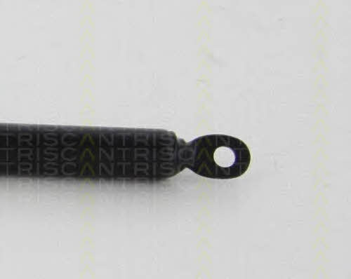 Triscan 8710 38241 Spring gas rear window 871038241: Buy near me in Poland at 2407.PL - Good price!