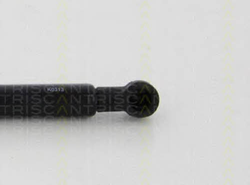 Triscan 8710 38242 Gas Roof Spring 871038242: Buy near me in Poland at 2407.PL - Good price!