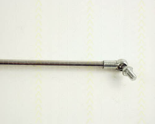 Triscan 8710 41205 Gas Spring, boot-/cargo area 871041205: Buy near me in Poland at 2407.PL - Good price!