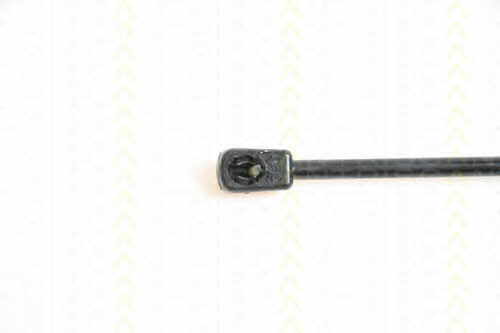 Triscan 8710 42224 Gas Spring, boot-/cargo area 871042224: Buy near me in Poland at 2407.PL - Good price!