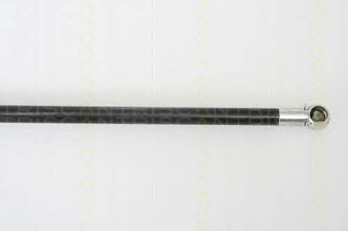 Triscan 8710 42233 Gas Spring, boot-/cargo area 871042233: Buy near me in Poland at 2407.PL - Good price!