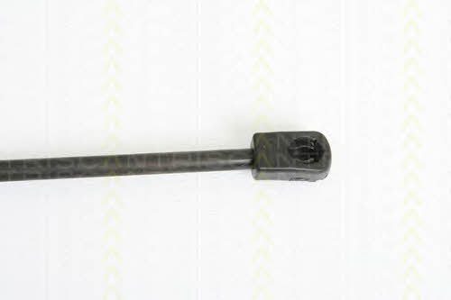 Triscan 8710 43101 Gas hood spring 871043101: Buy near me in Poland at 2407.PL - Good price!