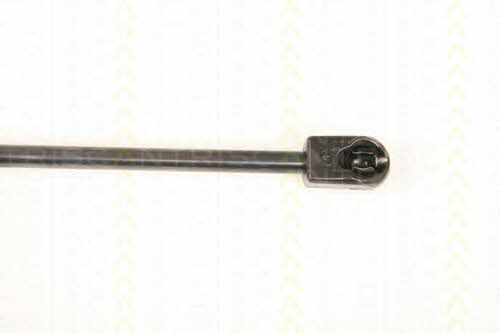 Triscan 8710 43102 Gas hood spring 871043102: Buy near me in Poland at 2407.PL - Good price!