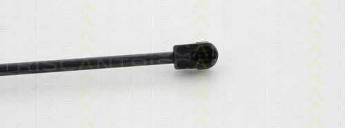 Triscan 8710 43103 Gas hood spring 871043103: Buy near me in Poland at 2407.PL - Good price!
