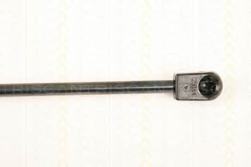 Triscan 8710 43231 Gas Spring, boot-/cargo area 871043231: Buy near me in Poland at 2407.PL - Good price!