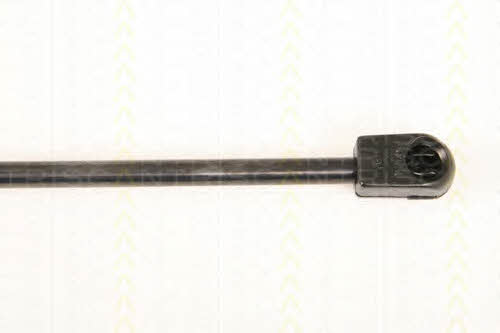 Triscan 8710 50244 Gas Spring, boot-/cargo area 871050244: Buy near me in Poland at 2407.PL - Good price!
