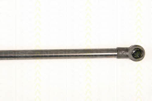 Triscan 8710 50248 Gas Spring, boot-/cargo area 871050248: Buy near me in Poland at 2407.PL - Good price!