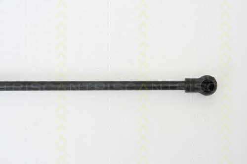 Triscan 8710 66201 Gas Spring, boot-/cargo area 871066201: Buy near me in Poland at 2407.PL - Good price!