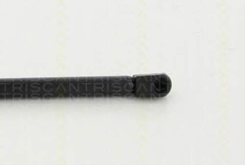 Triscan 8710 80101 Gas hood spring 871080101: Buy near me in Poland at 2407.PL - Good price!