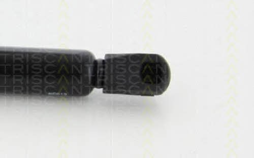 Triscan 8710 80103 Gas hood spring 871080103: Buy near me in Poland at 2407.PL - Good price!