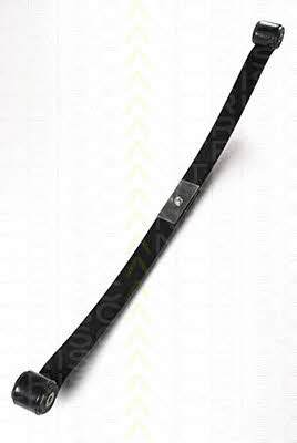 Triscan 8765 16029 Leaf spring 876516029: Buy near me at 2407.PL in Poland at an Affordable price!