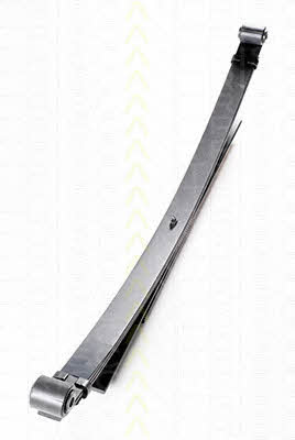 Triscan 8765 28001 Leaf spring 876528001: Buy near me at 2407.PL in Poland at an Affordable price!
