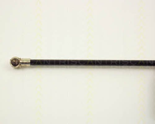 Triscan 8710 2002 Gas hood spring 87102002: Buy near me in Poland at 2407.PL - Good price!