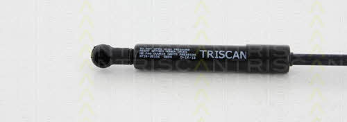 Motorhaubegasdruckfeder Triscan 8710 20106