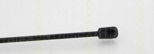 Triscan 8710 20108 Gas hood spring 871020108: Buy near me in Poland at 2407.PL - Good price!