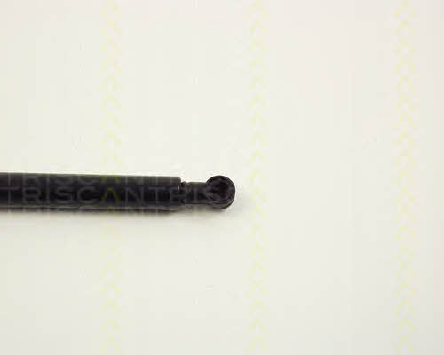 Triscan 8710 2307 Accelerator shock absorber 87102307: Buy near me in Poland at 2407.PL - Good price!
