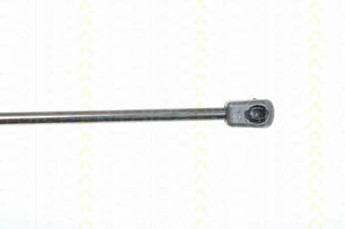 Triscan 8710 23109 Gas hood spring 871023109: Buy near me in Poland at 2407.PL - Good price!