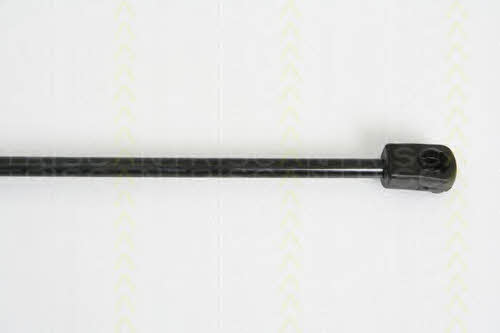 Triscan 8710 23111 Gas hood spring 871023111: Buy near me in Poland at 2407.PL - Good price!