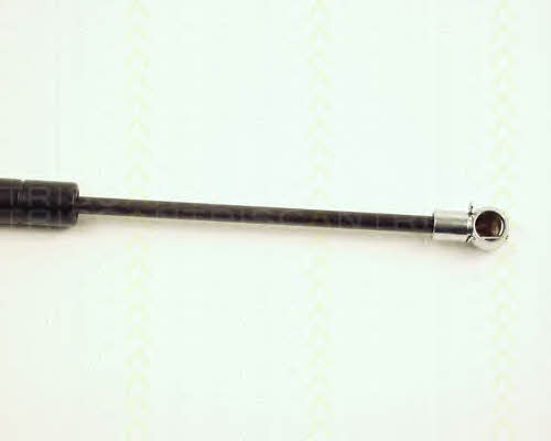 Triscan 8710 23204 Gas Spring, boot-/cargo area 871023204: Buy near me in Poland at 2407.PL - Good price!