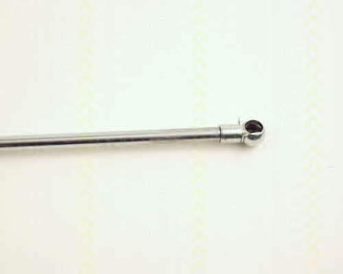 Triscan 8710 24103 Gas hood spring 871024103: Buy near me in Poland at 2407.PL - Good price!
