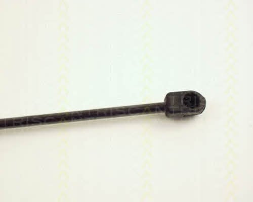 Triscan 8710 24104 Gas hood spring 871024104: Buy near me in Poland at 2407.PL - Good price!