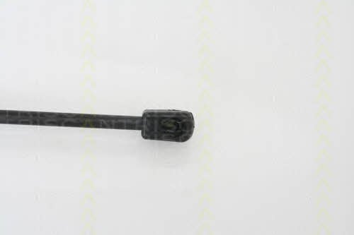 Triscan 8710 24105 Gas hood spring 871024105: Buy near me in Poland at 2407.PL - Good price!