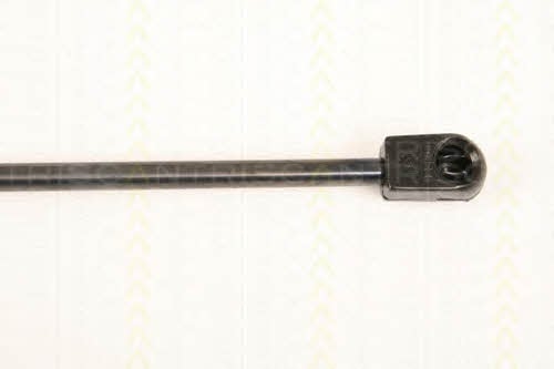 Triscan 8710 24106 Gas hood spring 871024106: Buy near me in Poland at 2407.PL - Good price!