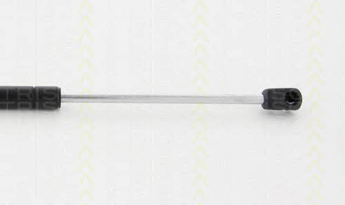 Triscan 8710 24245 Spring gas rear window 871024245: Buy near me in Poland at 2407.PL - Good price!