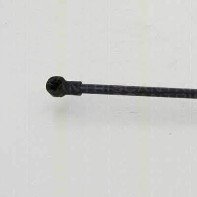 Triscan 8710 24256 Gas Spring, boot-/cargo area 871024256: Buy near me in Poland at 2407.PL - Good price!