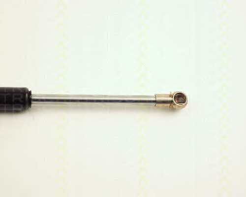 Triscan 8710 25101 Gas hood spring 871025101: Buy near me in Poland at 2407.PL - Good price!