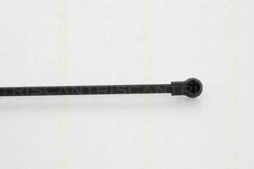 Triscan 8710 25102 Gas hood spring 871025102: Buy near me in Poland at 2407.PL - Good price!