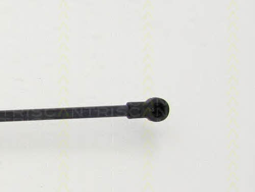 Triscan 8710 25108 Gas hood spring 871025108: Buy near me in Poland at 2407.PL - Good price!