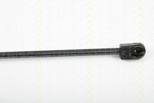 Triscan 8710 29131 Gas hood spring 871029131: Buy near me in Poland at 2407.PL - Good price!