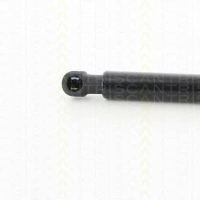 Triscan 8710 25271 Gas Spring, boot-/cargo area 871025271: Buy near me in Poland at 2407.PL - Good price!