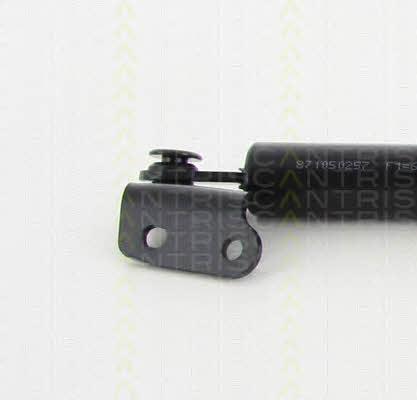 Triscan 8710 50257 Gas Spring, boot-/cargo area 871050257: Buy near me in Poland at 2407.PL - Good price!