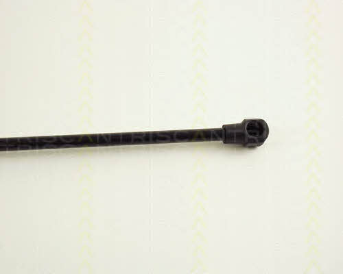 Triscan 8710 29239 Gas Spring, boot-/cargo area 871029239: Buy near me in Poland at 2407.PL - Good price!