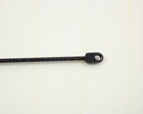 Triscan 8710 1102 Gas hood spring 87101102: Buy near me in Poland at 2407.PL - Good price!