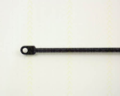 Triscan 8710 1108 Gas hood spring 87101108: Buy near me in Poland at 2407.PL - Good price!