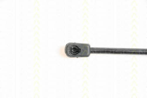 Triscan 8710 65102 Gas hood spring 871065102: Buy near me in Poland at 2407.PL - Good price!