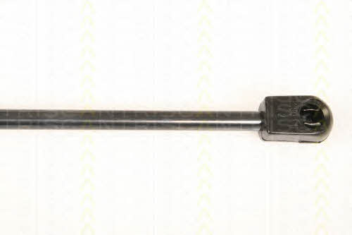 Triscan 8710 9008 Gas hood spring 87109008: Buy near me in Poland at 2407.PL - Good price!